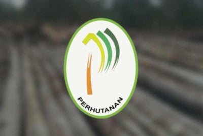 JPNP menafikan dakwaan pembalakan haram di Bentong.
