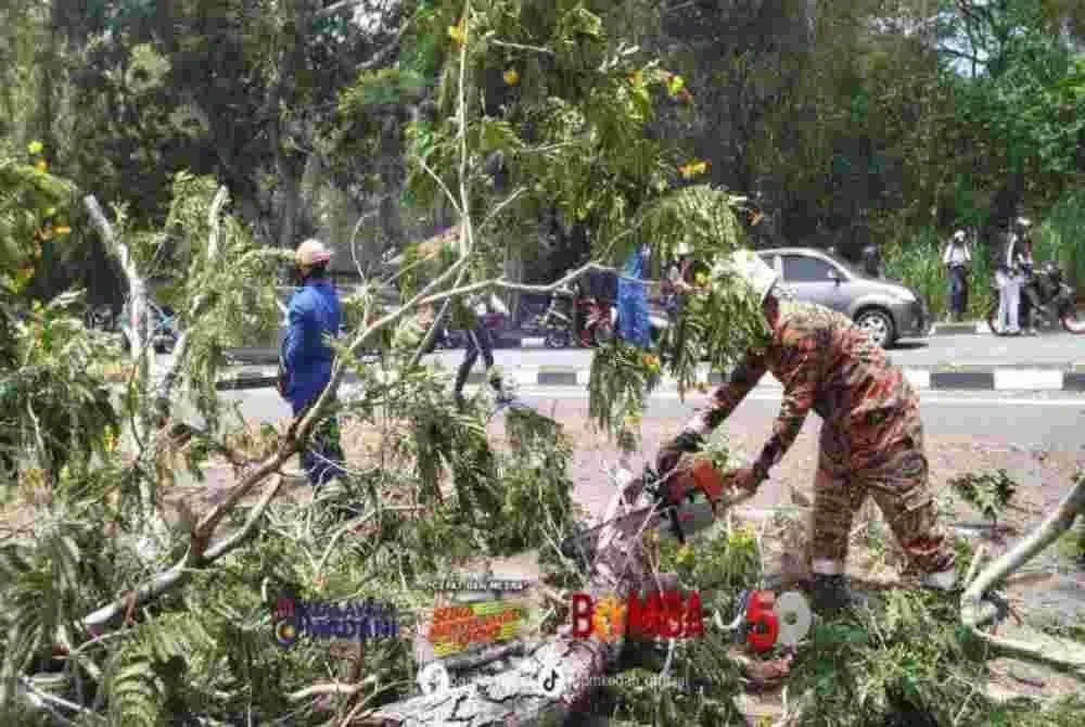 Seorang anggota bomba memotong pokok yang tumbang di Jalan Stadium, Alor Setar pada Ahad. - FOTO: Bomba