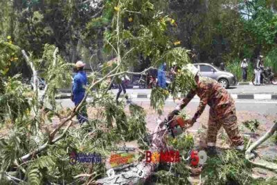 Seorang anggota bomba memotong pokok yang tumbang di Jalan Stadium, Alor Setar pada Ahad. - FOTO: Bomba