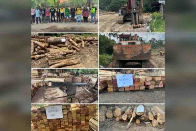 Pasukan Gerakan Am (PGA) menumpaskan sindiket kilang kayu haram dan merampas pelbagai jenis kayu balak, produk kayu, jentera serta mesin yang dianggarkan bernilai keseluruhan RM16.8 juta pada Isnin. Foto: PGA