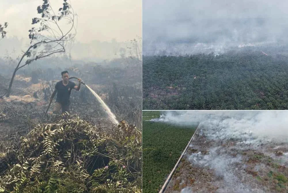 Kawasan ladang kelapa sawit seluas kira-kira 60.7 hektar dilaporkan terbakar dalam kejadian di Kampung Jemeri, Kuala Rompin di sini pada Isnin. Foto Bomba Pahang.