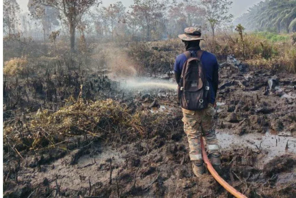 Pasukan bomba terus bertungkus-lumus padam kebakaran hutan di Punggai. - Foto JBPM Johor