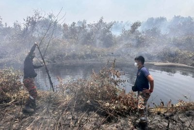Pasukan bomba terus bertungkus-lumus padam kebakaran hutan di Punggai. - Foto JBPM Johor