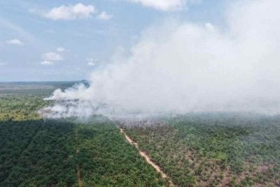 Antara kes kebakaran ladang yang direkodkan JBPM tahun ini. - Foto JBPM