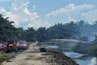 Pihak bomba sedang memadam kebakaran ladang sawit. FOTO: Bomba Pahang.