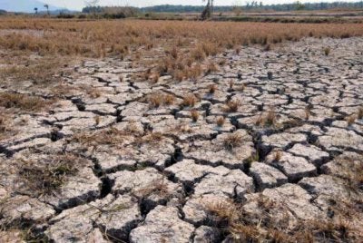 Beberapa daerah di Kedah termasuk Pendang, Pokok Sena dan Baling dilaporkan berada pada tahap dua (gelombang haba). Foto Bernama
