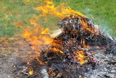 Pembakaran terbuka berkenaan melibatkan kebun, ladang, hutan, belukar dan lalang, serta sampah.