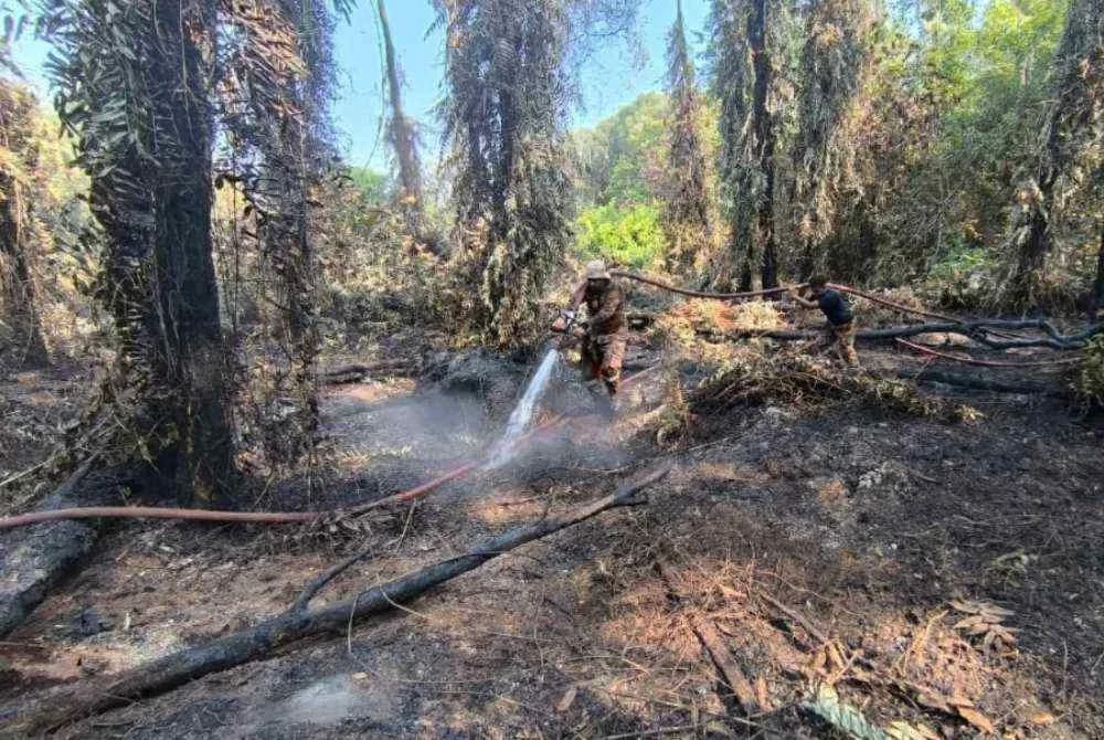 Anggota Bomba sedang memadam kebakaran tanah gambut di Jalan Pantai berhampiran X-Park Go-Kart, Port Dickson. FOTO: Bomba Negeri Sembilan