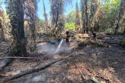 Anggota Bomba sedang memadam kebakaran tanah gambut di Jalan Pantai berhampiran X-Park Go-Kart, Port Dickson. FOTO: Bomba Negeri Sembilan 