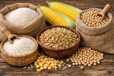 Malaysia berdepan cabaran dalam memastikan keterjaminan makanan apabila kebergantungan kepada import terus terdedah kepada gangguan bekalan serta kenaikan kos di peringkat global. Gambar hiasan 
