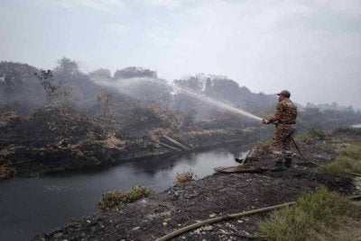 Sehingga semalam, 40.14 hektar daripadanya kawasan telah berjaya dipadamkan manakala 259.86 hektar lagi masih terbakar 
