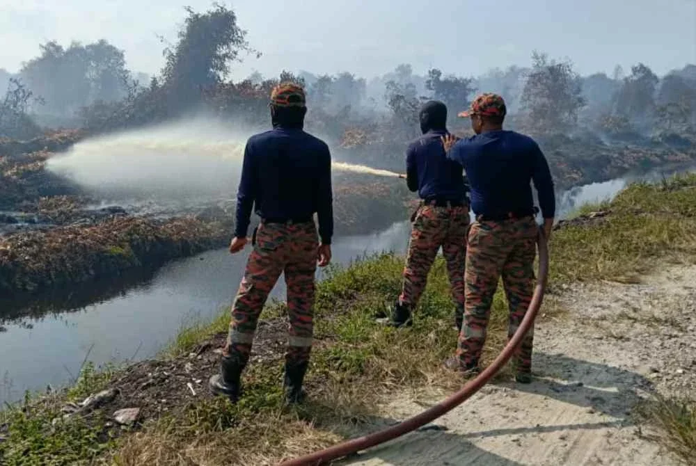 Anggota bomba bertungkus-lumus memadam kebakaran kawasan hutan terbakar berhampiran ladang sawit di Nenasi, Pekan. Foto JBPM PAHANG