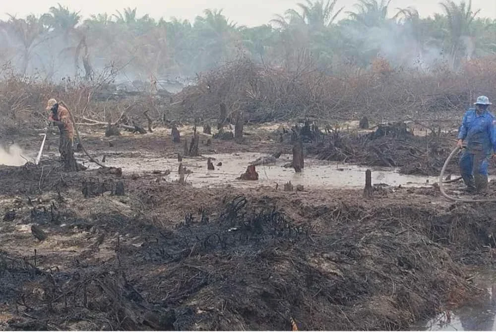 Operasi pemadaman kebakaran hutan berhampiran ladang sawit di Nenasi, Pekan ladang memasuki hari ketujuh pada Ahad. Foto JBPM PAHANG