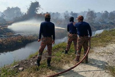 Anggota bomba bertungkus-lumus memadam kebakaran kawasan hutan terbakar berhampiran ladang sawit di Nenasi, Pekan. Foto JBPM PAHANG