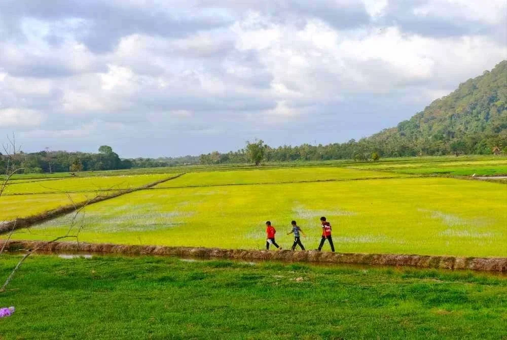 Siapa sangka kawasan sawah padi yang suatu ketika dahulu sunyi, dipenuhi semak dan terbiar, kini berubah wajah menjadi sebuah taman rekreasi komuniti yang indah dan mendamaikan sekali gus menjadi ikon baharu pelancongan di Bachok.