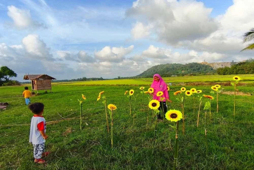 Siapa sangka kawasan sawah padi yang terbiar dan dipenuhi semak, kini berubah wajah menjadi sebuah taman rekreasi komuniti indah dan mendamaikan sekali gus ikon baharu pelancongan di Bachok.