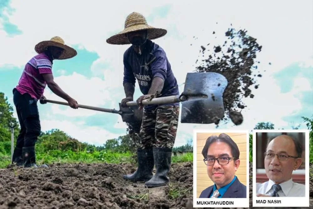 Lonjakan harga baja global susulan konflik di Asia Barat menjadi amaran awal kepada sistem makanan negara kerana berpotensi meningkatkan kos sara hidup rakyat sekiranya tidak ditangani dengan langkah dasar yang jelas. Foto hiasan