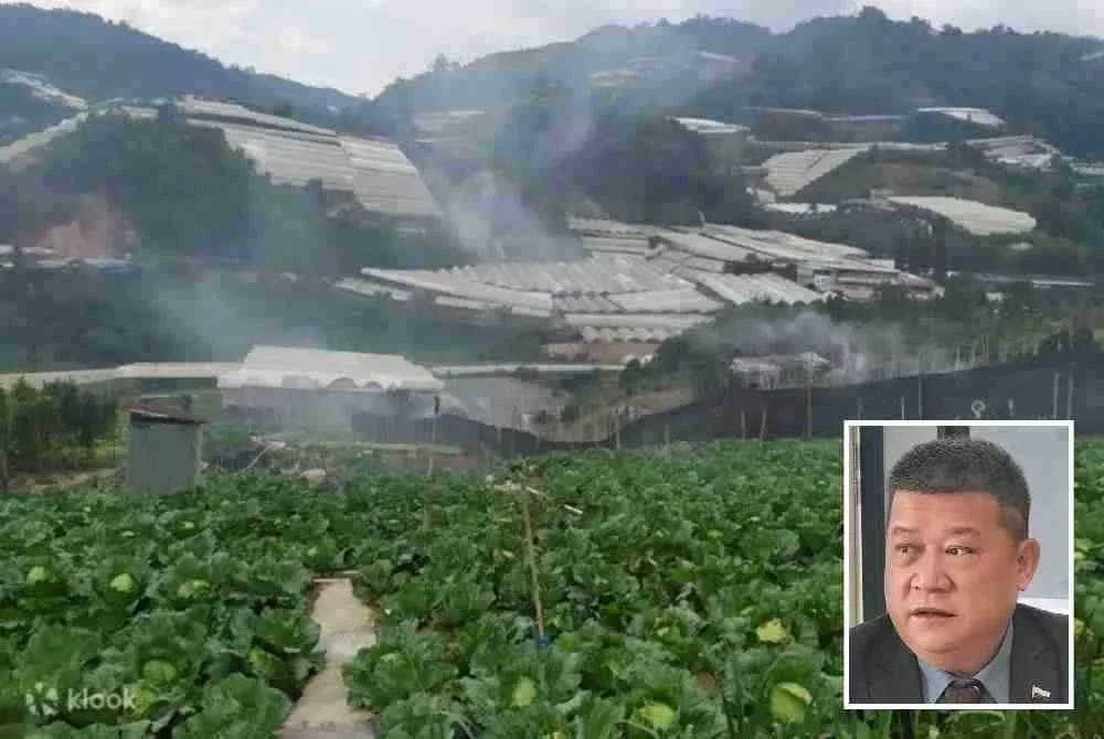 Kerajaan Pahang akan melaksanakan penubuhan hub borong sayur-sayuran di Cameron Highlands bagi mengurangkan kebergantungan pekebun kepada pemborong luar yang didakwa mengawal harga pasaran. Gambar kecil: Chon Siang