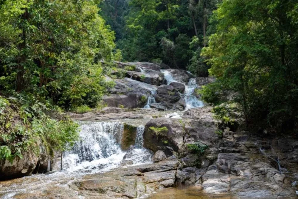 Seorang remaja lelaki berusia 15 tahun meninggal dunia selepas lemas ketika mandi-manda di Air Terjun Gunung Ledang, Tangkak, petang Rabu.