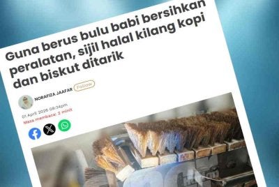 Laporan Sinar Harian mengenai isu sijil halal kilang kopi dan biskut ditarik kerana guna berus bulu babis. 
