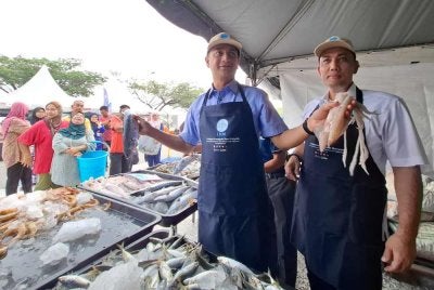 Muhammad Faiz (kiri) bersama Ahmad Zulkifli (kanan) menunjukkan hasil laut dalam Program Jualan Ikan Murah sempena Program Madani Rakyat 2026 Perak di Bulatan Sultan Azlan Shah, Meru Raya pada Jumaat.