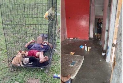 Gambar tular menunjukkan kanak-kanak lelaki baring di dalam sangkar anjing dan keadaan rumah yang didiami berada dalam keadaan yang tidak terurus