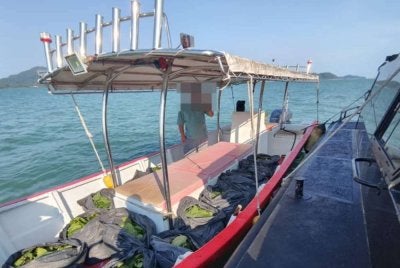 Pemeriksaan ke atas sebuah bot tanpa nombor pendaftaran kira-kira 0.3 batu nautika di timur Pulau Pangkor menemukan 15 bungkusan plastik hitam disyaki mengandungi daun ketum. - Foto Maritim Perak