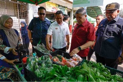 Mohamad (dua dari kanan) ketika meninjau jualan barangan keperluan pada majlis Program Sentuhan Agro Madani di Dewan Datuk Demang Hussin, Bukit Katil, hari ini. Foto: Bernama 