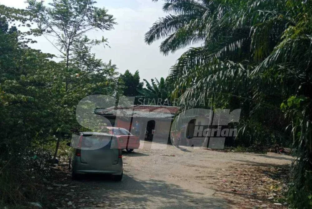 Laluan masuk ke salah satu kawasan dipercayai penempatan haram di Setia Alam di sini.