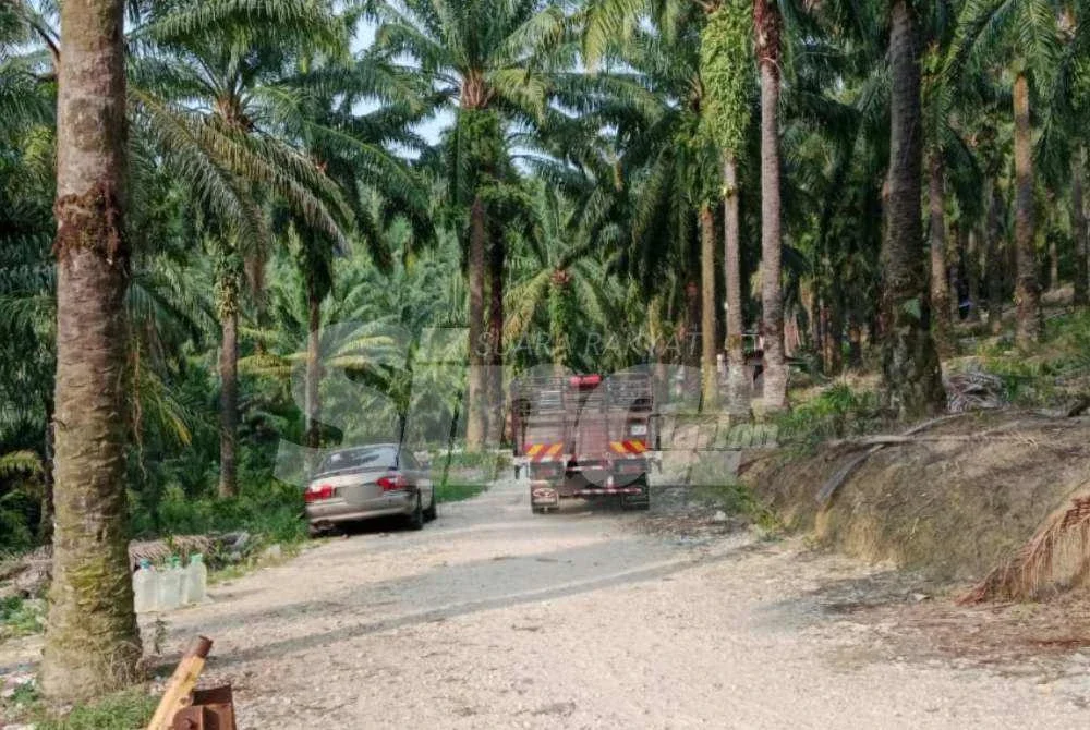 Beberapa kenderaan dilihat memasuki kawasan penempatan haram di Setia Alam di sini.
