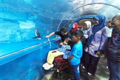 Mohd Zaidy (kiri) menunjukkan cuba menarik perhatian seekor penguin sambil diperhatikan Nur Umairah semasa berkunjung ke Underwater World Langkawi. 