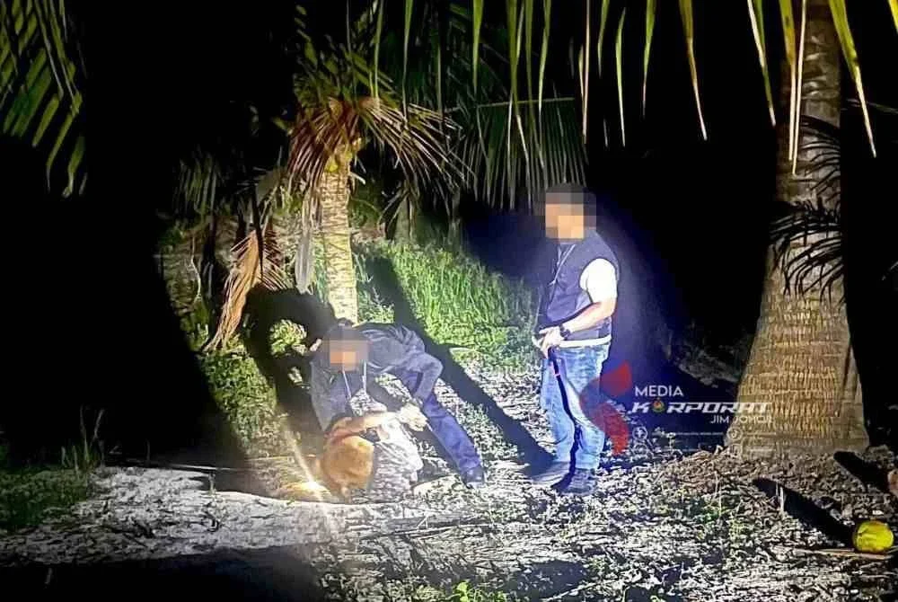 Pegawai JIM berjaya menahan warga asing cuba lari semasa serbuan di Mersing.