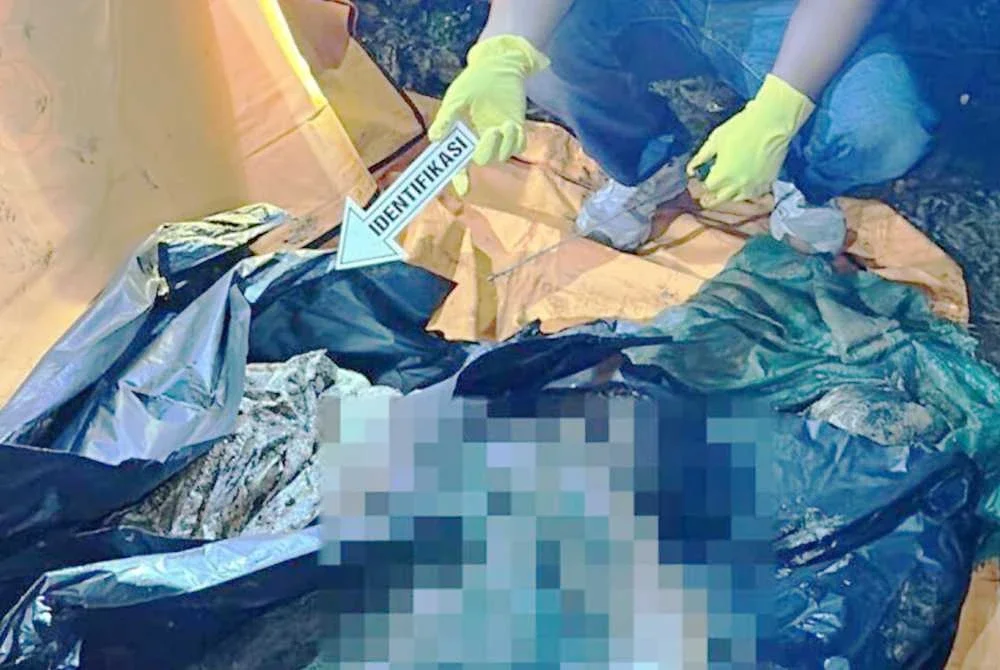 Pihak berkuasa menemui bahagian tubuh mangsa yang dikerat-kerat dalam empat karung plastik dan ditanam di sebuah kebun. Foto Agensi