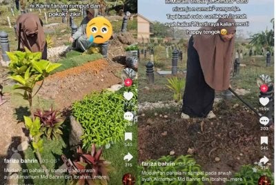 Video tular seorang wanita menanam pokok di kubur yang tidak dikenali.