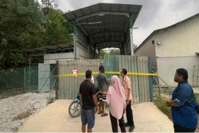 Sebuah ladang ternakan ayam di Batang Kali diarahkan tutup berikutan pengurusan tinja ayam tidak sempurna di ladang berkenaan.