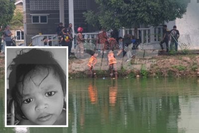 Pasukan operasi kemudian bertindak memakai PPE lengkap sebelum turun ke dalam kolam bagi mengeluarkan mangsa. Gambar kecil: Mya Khadeeja Suraidi Foto Sinar Harian 