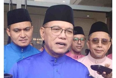 Datuk Seri Wan Rosdy Wan Ismail