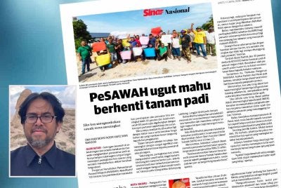 Laporan Sinar Harian mengenai tekanan yang dihadapi pesawah ekoran kenaikan harga diesel. Gambar kecil: Mukhtaruddin