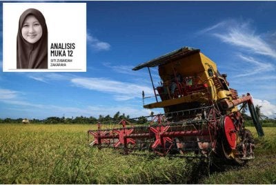 Tekanan kos diesel menjejaskan pesawah dan berpotensi menggugat sekuriti makanan negara. - Foto fail Bernama