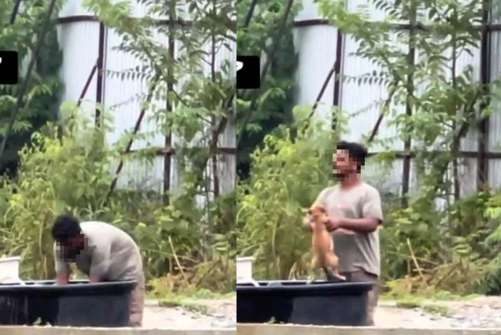 Tular di media sosial memaparkan seorang individu bertindak kejam terhadap seekor anjing di sini.