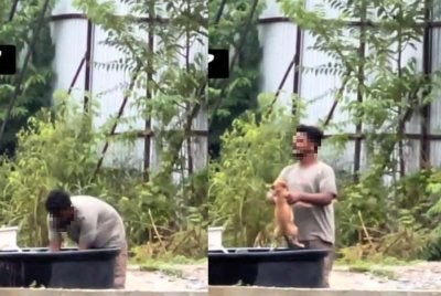 Tular di media sosial memaparkan seorang individu bertindak kejam terhadap seekor anjing di sini.
