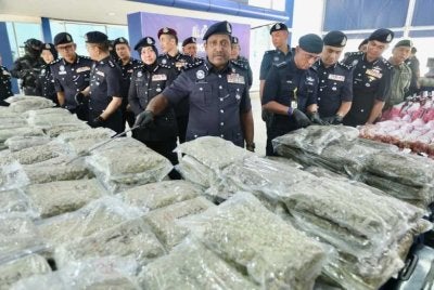 Hussein menunjukkan bunga ganja yang dirampas.