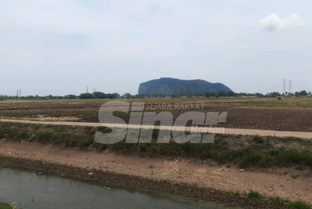 Rekod sehingga Rabu menunjukkan purata taburan hujan mencecah 122 milimeter, sekali gus menjadikan kaedah tabur terus kering (TTK) yang disyorkan sebelum ini tidak lagi sesuai diteruskan. Foto Sinar Harian