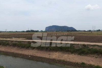 Rekod sehingga Rabu menunjukkan purata taburan hujan mencecah 122 milimeter, sekali gus menjadikan kaedah tabur terus kering (TTK) yang disyorkan sebelum ini tidak lagi sesuai diteruskan. Foto Sinar Harian 