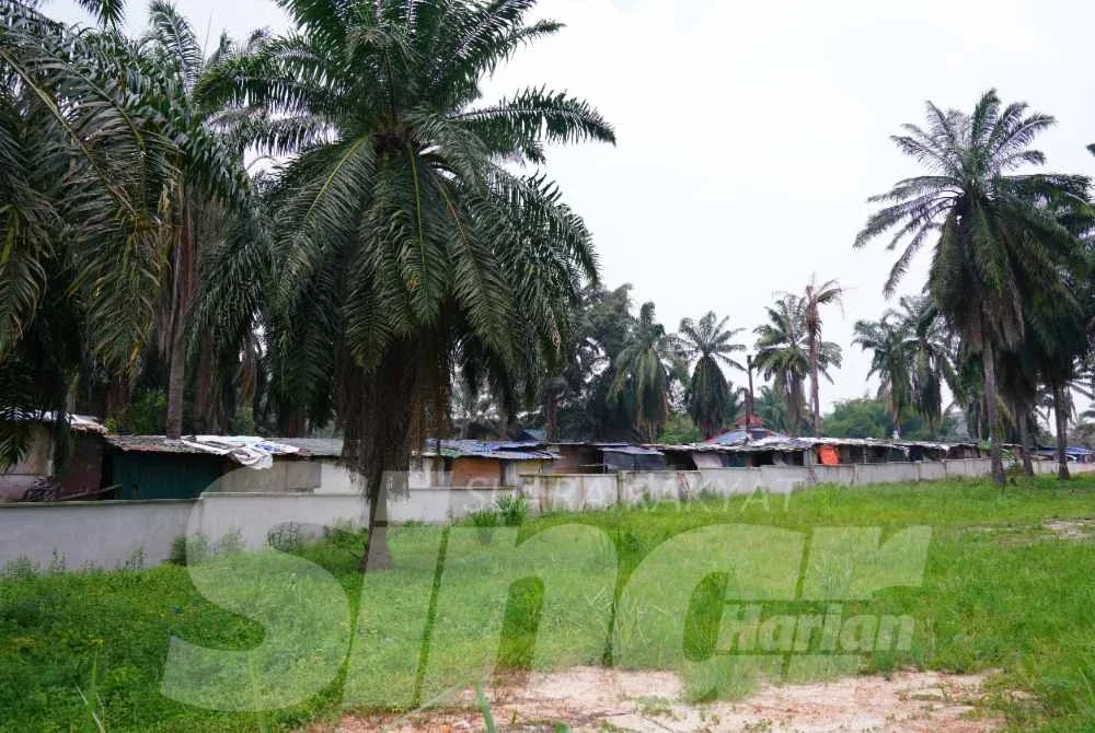 Tinjauan dilakukan dari luar kawasan penempatan atas faktor keselamatan.