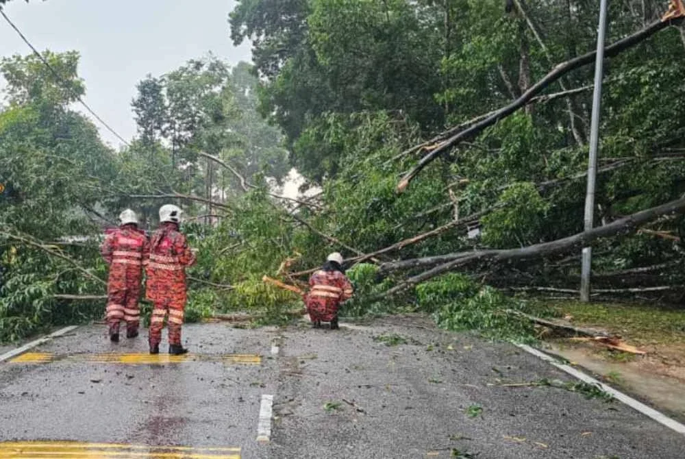 Anggota bomba sedang menjalankan kerja mengalihkan pokok yang tumbang pada Isnin.
