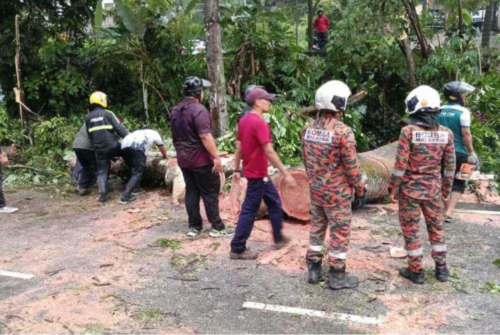 Kerja-kerja mengalihkan pokok tumbang sedang dijalankan oleh anggota bomba di lokasi.
