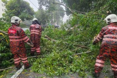 Anggota bomba sedang menjalankan kerja mengalihkan pokok yang tumbang pada Isnin.