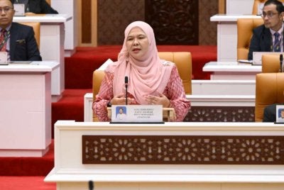 Salbiah menjawab soalan Muhammad Faisal (PN-Trong) dalam Sidang DUN Perak pada Selasa.