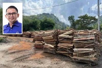 Aktiviti pembalakan di Kelantan yang didakwa terkawal tidak mencerminkan realiti sebenar di lapangan apabila menggunakan kaedah tebang habis atau 'cuci mangkuk' memberi kesan lebih besar kepada alam sekitar. Gambar kecil: Mohd Azmawi Fikri